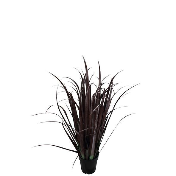 Schilfgras Cancun getopft, H105cm, bordeaux-grün