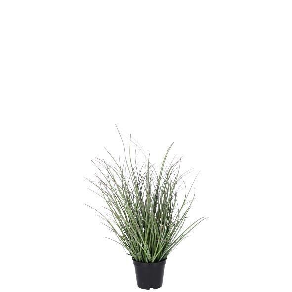 Gras Rosi getopft, H41cm, grün