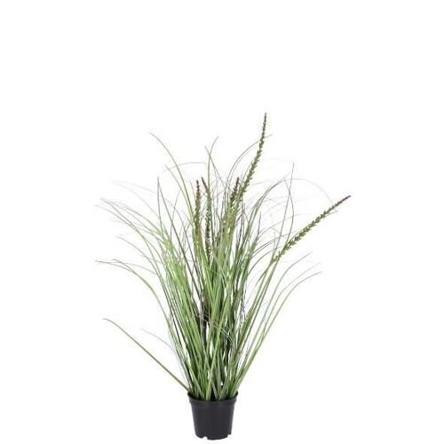 Gras Dünen getopft, H58cm, grün