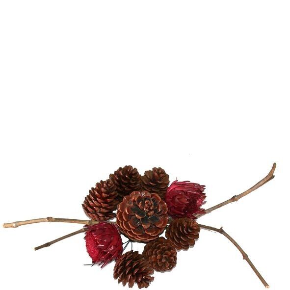 Edizioni: 6 Halapensis, 1 Pinea, 2 carciofi rossi, su 3 tralci di vite, verniciati