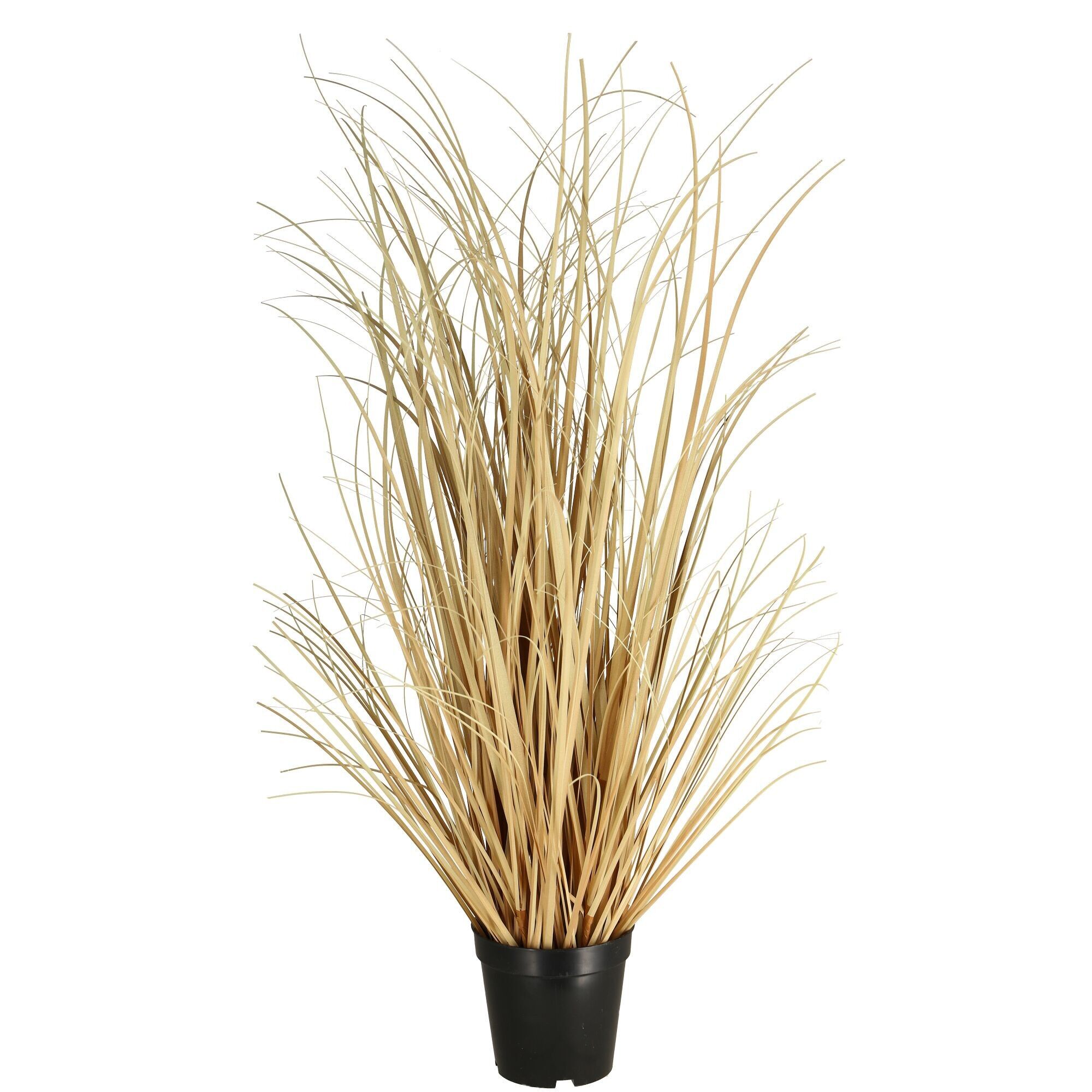 Gras Boho getopft, H150cm, dry look