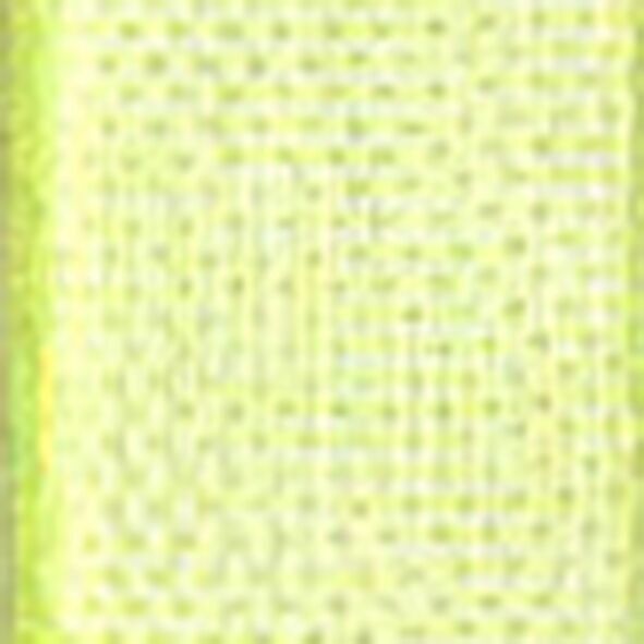 Organza Beauty, con orillo, W7mm, L50m, verde claro