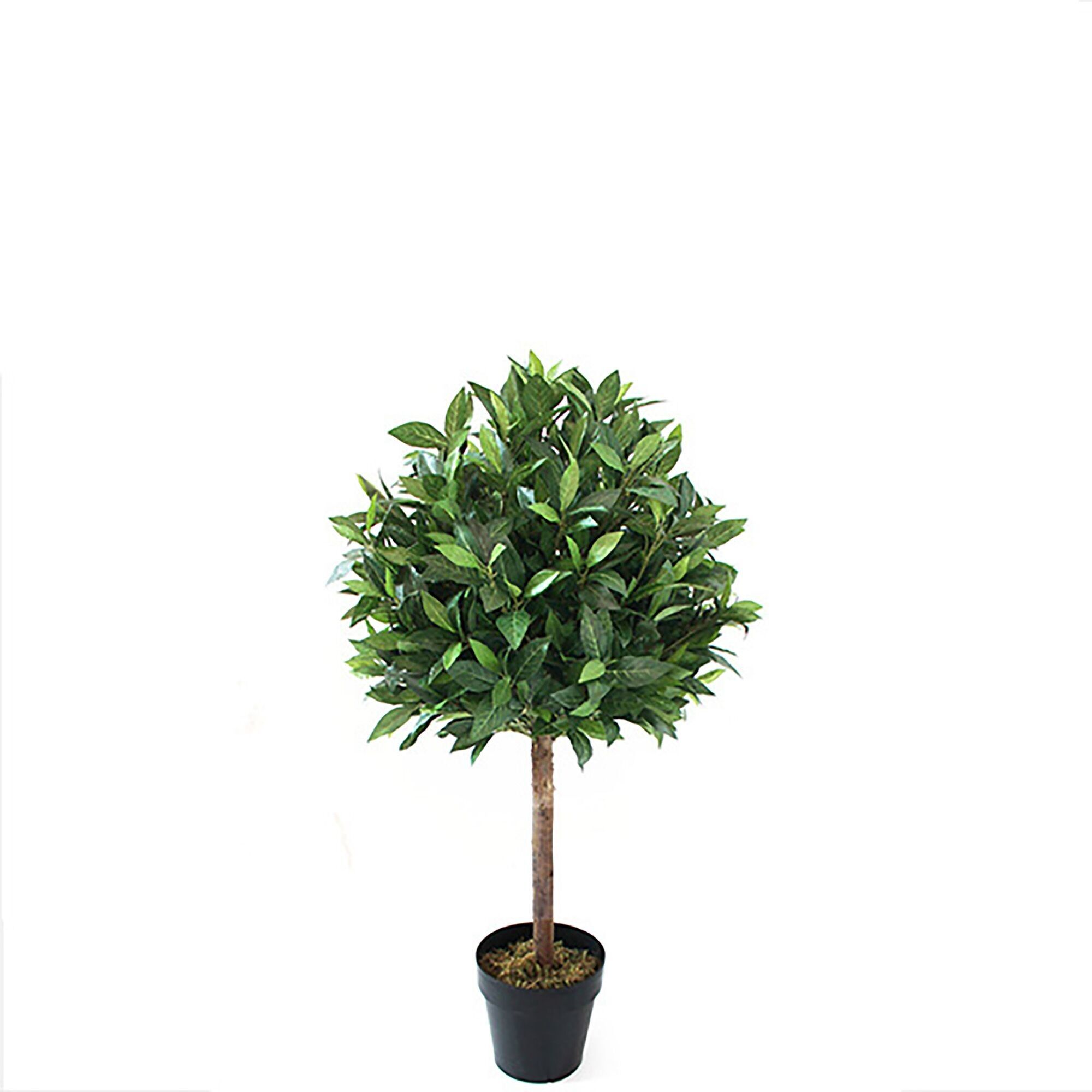 Lorbeer Kugelbaum getopft, H90cm, grün