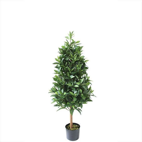 Lorbeerbaum getopft, H120cm, grün