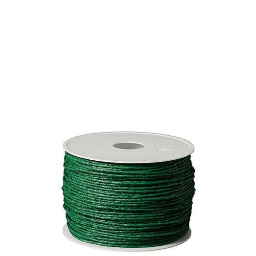 Papierkordel mit Drahteinlage, D2mm, L100m, grün