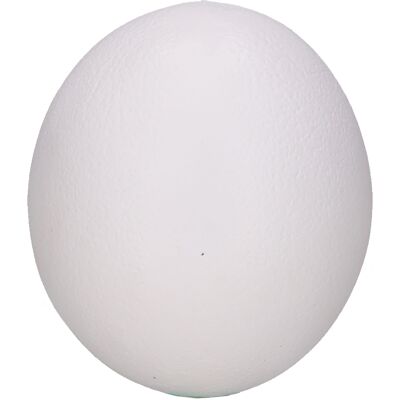 Uovo di struzzo in poliestere, D12,5 cm, H14,5 cm, bianco