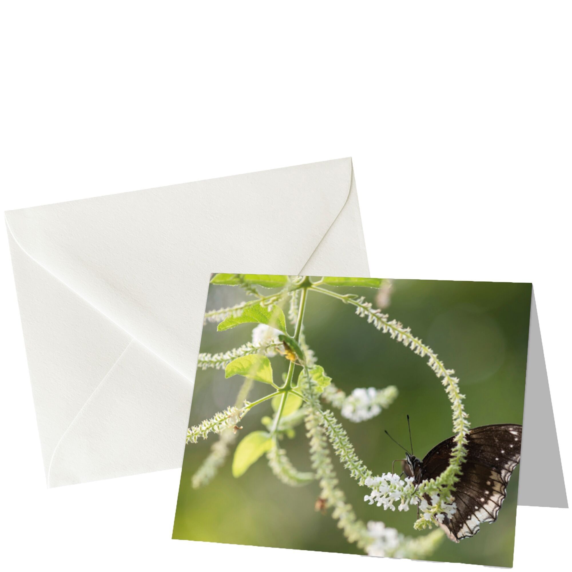 Tarjeta Eco Lumi, 12 piezas en una bolsa, tamaño 92 x 77 mm, en blanco