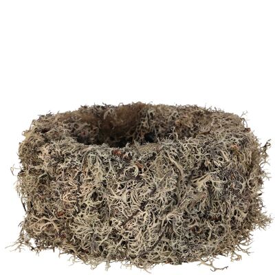 Cuenco de musgo gris, D25cm, H12cm, altura interior aprox.10cm, gris natural