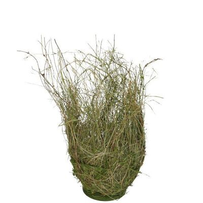 Tasse naturelle Lelle, D20cm, H40cm, pour TO16, vert