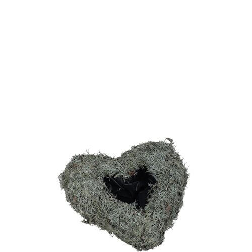 Pflanzherz Moos, D30cm, grau-natur