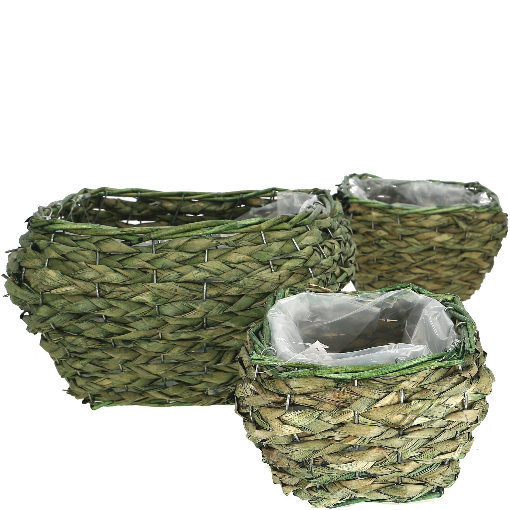 Cestino naturale Timo quadrato, set da 3, L29/23/17 cm, verde