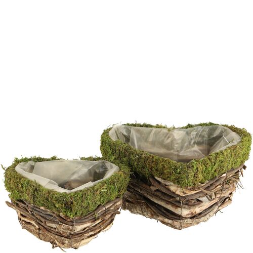 Natur Herz Eva, 2er-Set, L24/20cm, natur-grün