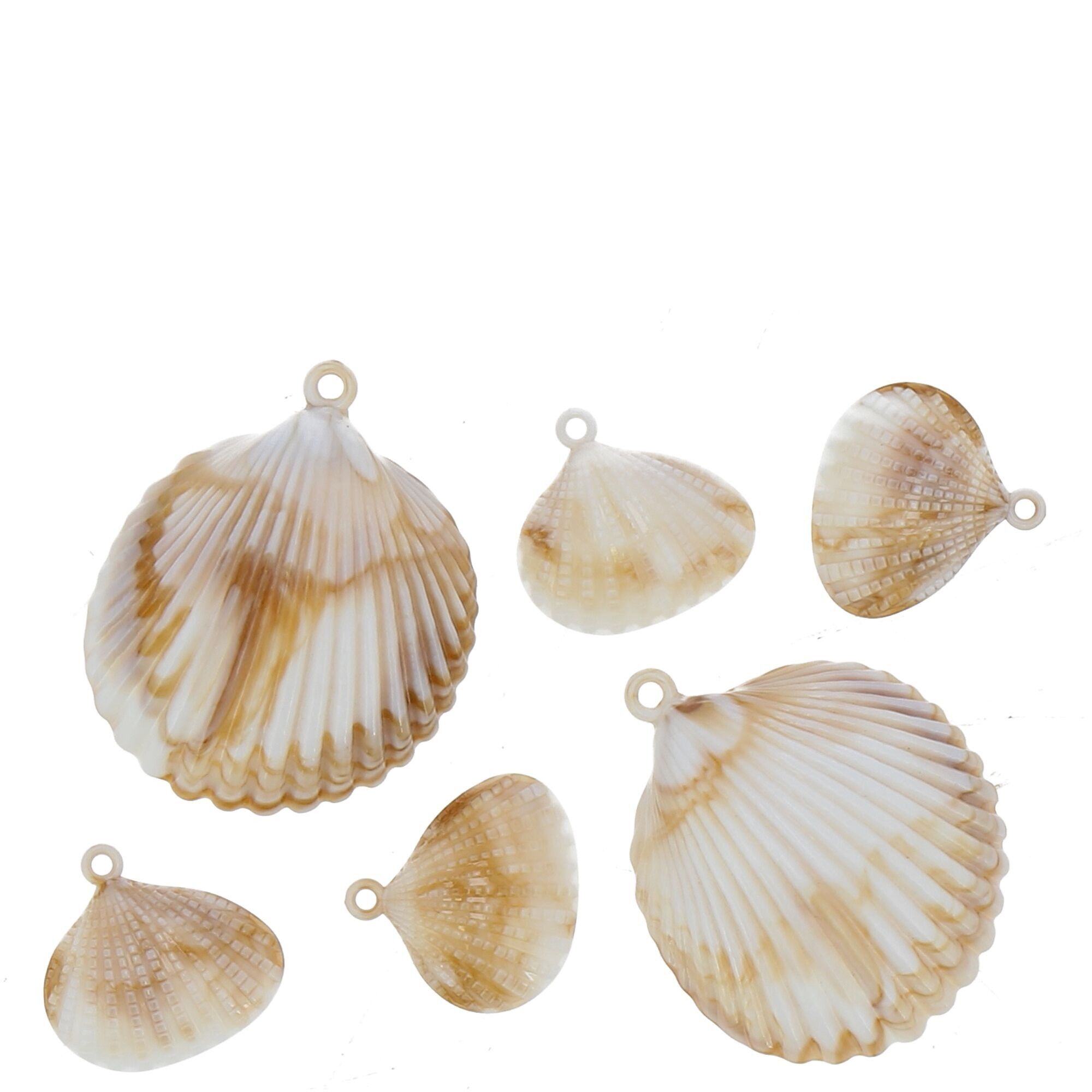 Conchiglie in poliestere Ohana, 24 pezzi, D5+3cm, naturale