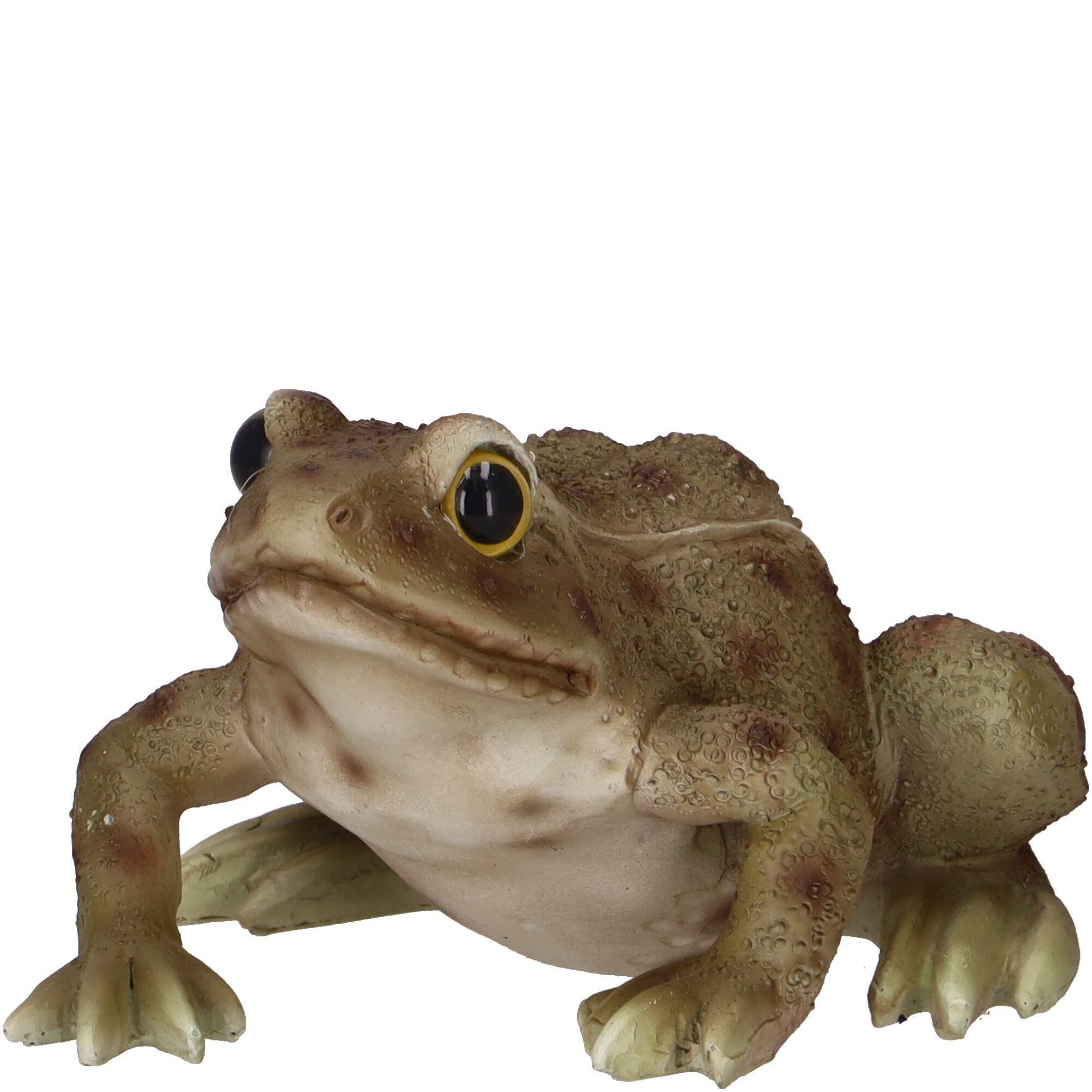 Rana in polietilene Tobi, L13,5 cm, L 12,3 cm, A 7,4 cm, verde