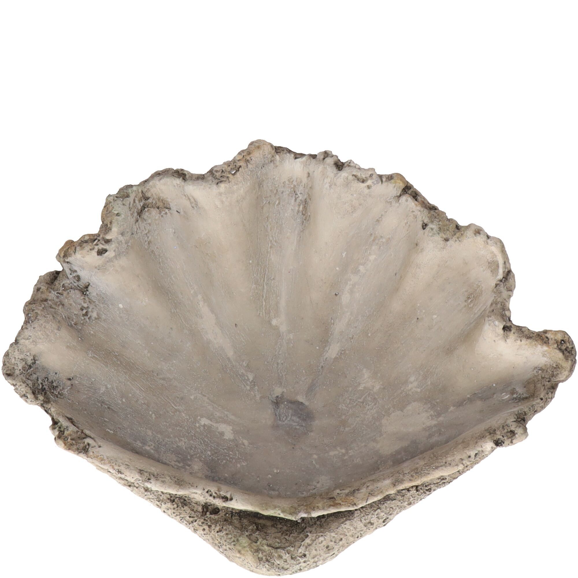 Concrete shell Pirna, L36.5cm, W27.5cm, H10.5cm, natural