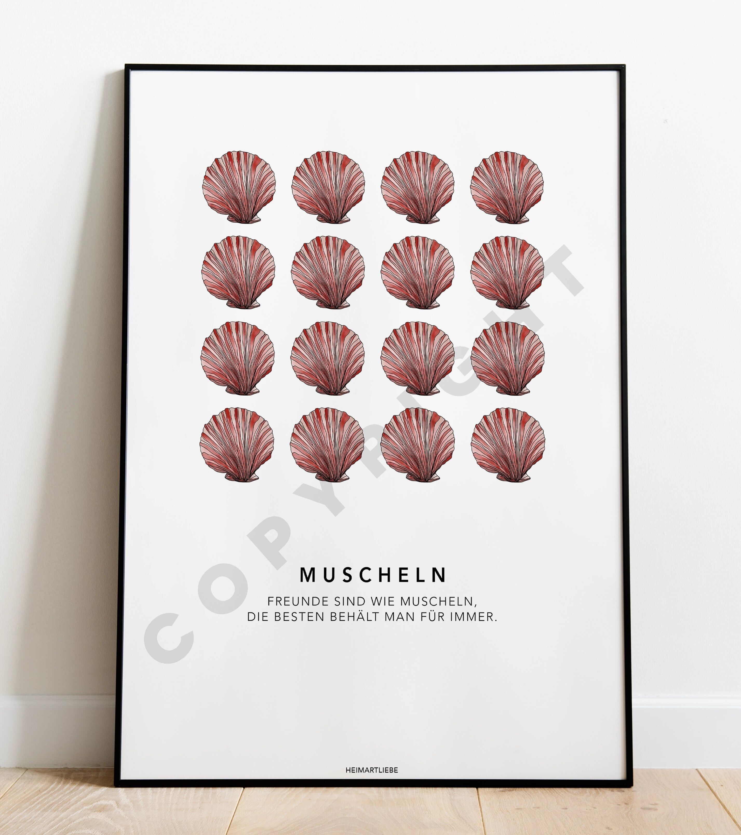 STAMPA - GLI AMICI SONO COME CONCHIGLIE