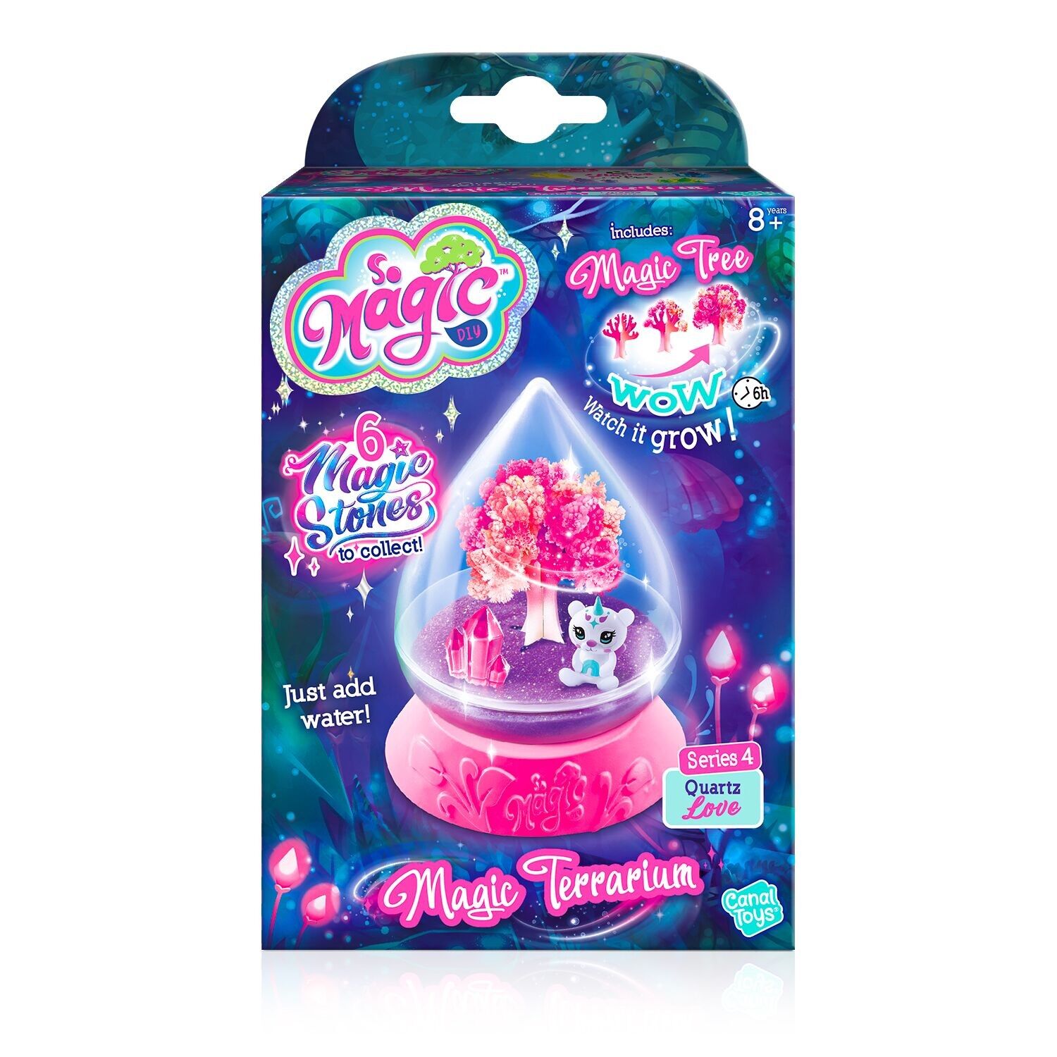 Mini Terrarium Magique