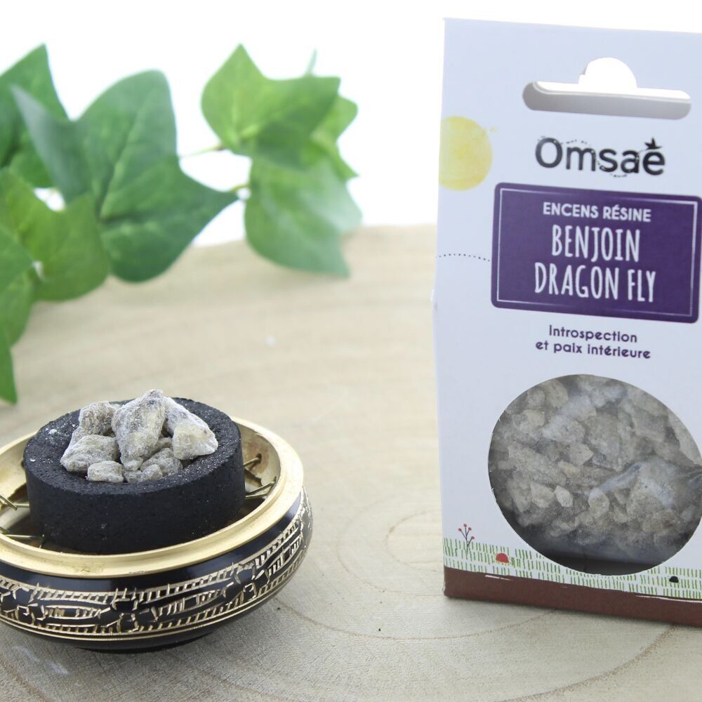 Pezzi di incenso in resina Benzoino Dragon Fly 50 g