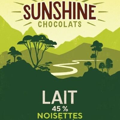 Tablette de Chocolat - Lait noisettes entières torréfiées bio et équitable