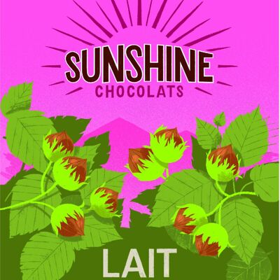 Barra de Chocolate - Leche, avellanas enteras tostadas ecológicas y de comercio justo