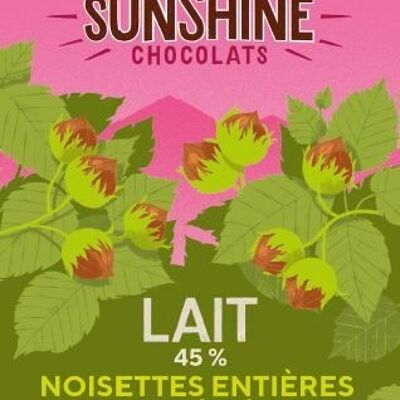 Tablette de Chocolat - Lait noisettes entières torréfiées bio et équitable