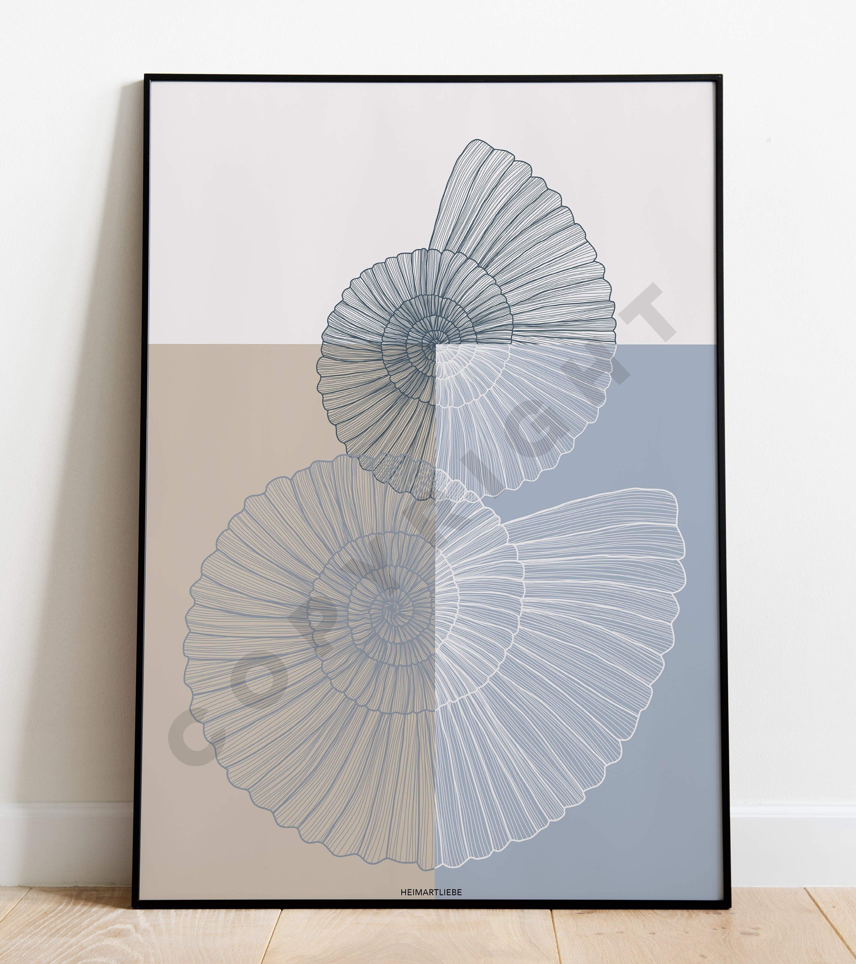 STAMPA - MARE CONCHIGLIA