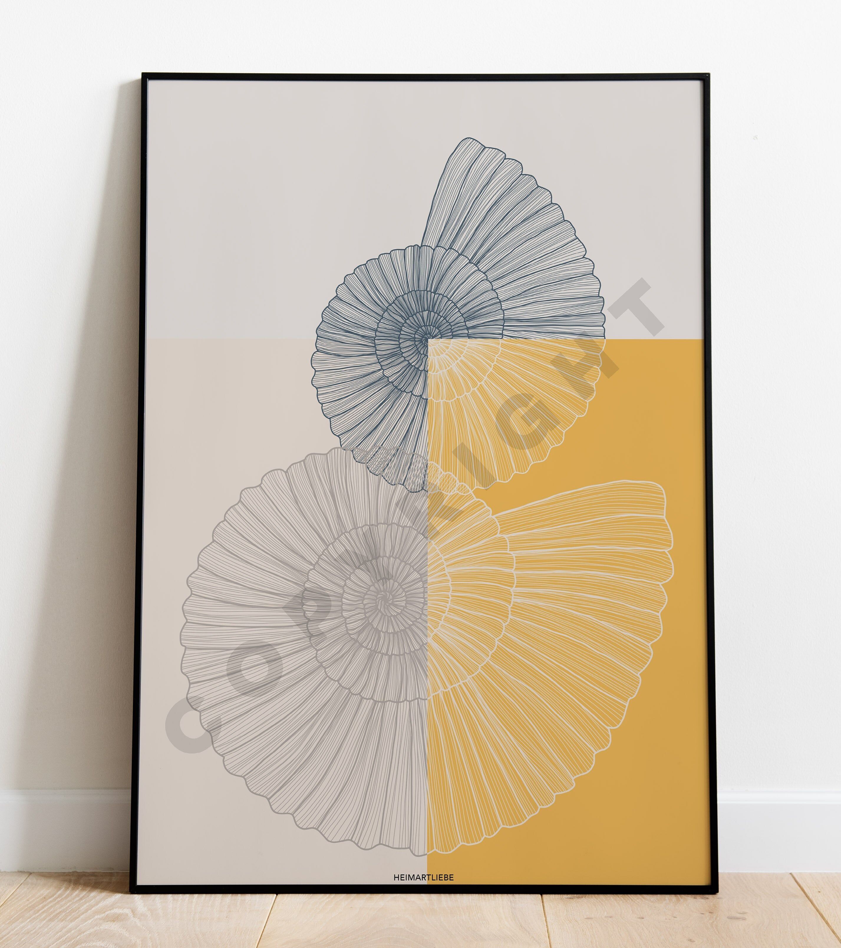 STAMPA - CONCHIGLIA SOLE