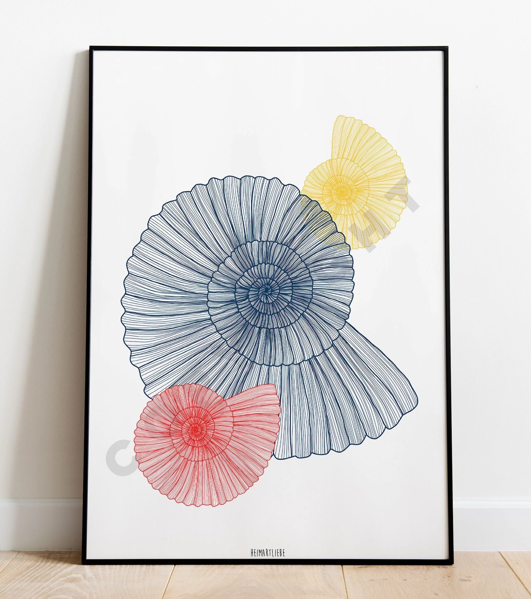 STAMPA - CONCHIGLIE COLORATE