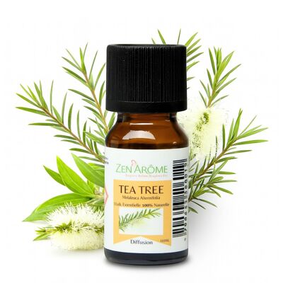Olio essenziale di tea tree - 100% naturale - Uso in aromaterapia - Flacone da 10 ml Confezionato in Francia