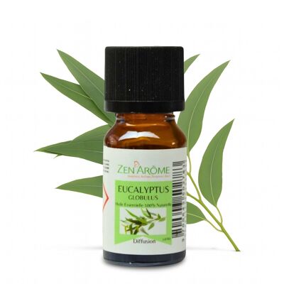Olio essenziale di eucalipto globuloso - 100% naturale - Uso in aromaterapia - Flacone da 10 ml Confezionato in Francia