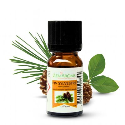 Aceite esencial de pino silvestre - 100% natural - Uso en aromaterapia - Botella de 10 ml Envasado en Francia