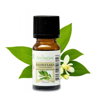 Ravintsara Essential Oil - 100% Natural - Use in Aromatherapy - 10ml Bottle Packaged in France