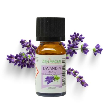 Aceite esencial de Lavandin Grosso - 100% natural - Uso en aromaterapia - Botella de 10 ml Envasado en Francia