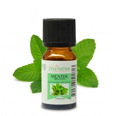 Aceite esencial de menta Arvensis - 100% natural - Uso en aromaterapia - Botella de 10 ml Envasado en Francia