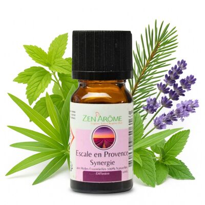 Escale en Provence Synergy Essential Oil - Miscela di oli essenziali da diffondere - Flacone da 10 ml Prodotto in Francia