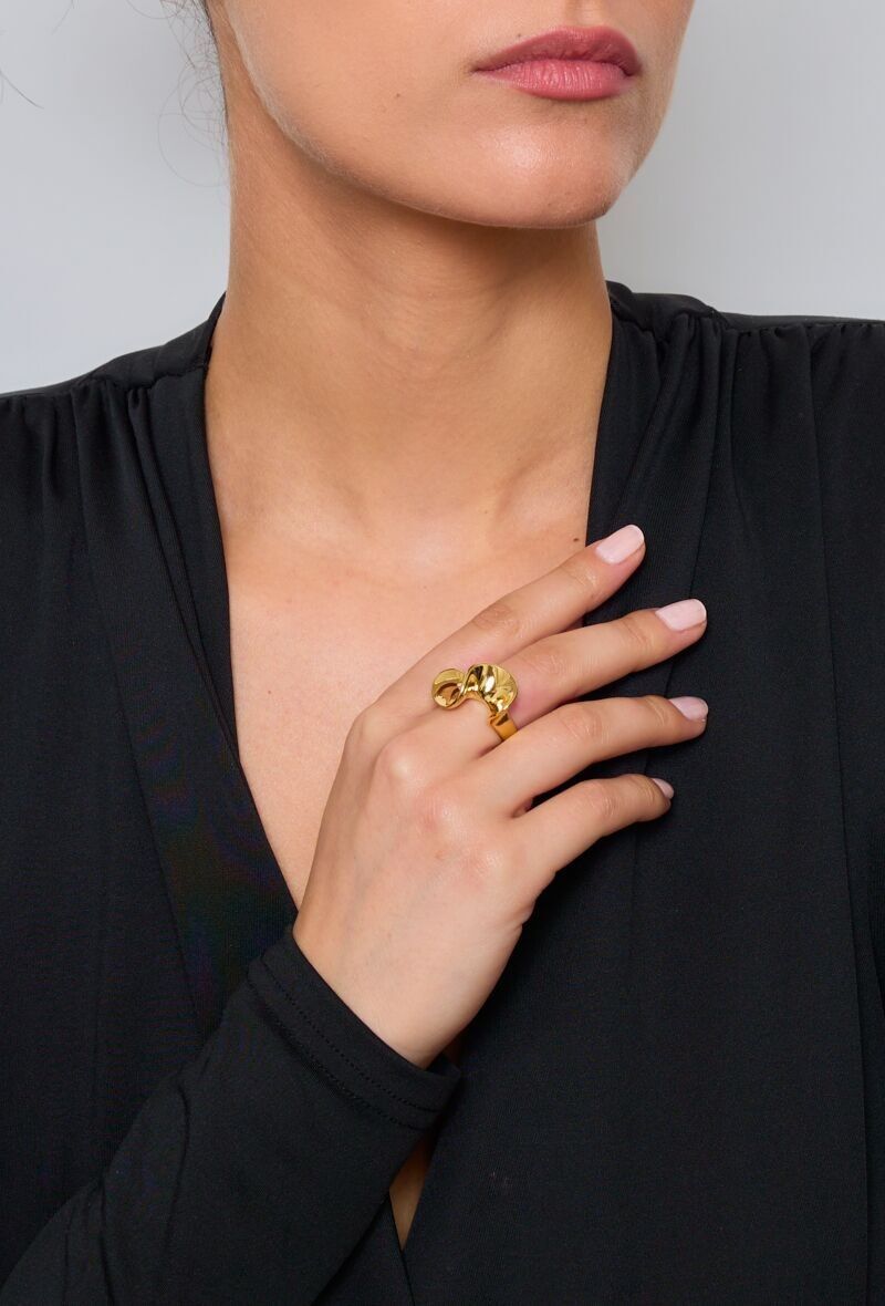 Anello in acciaio inossidabile 424AQ13