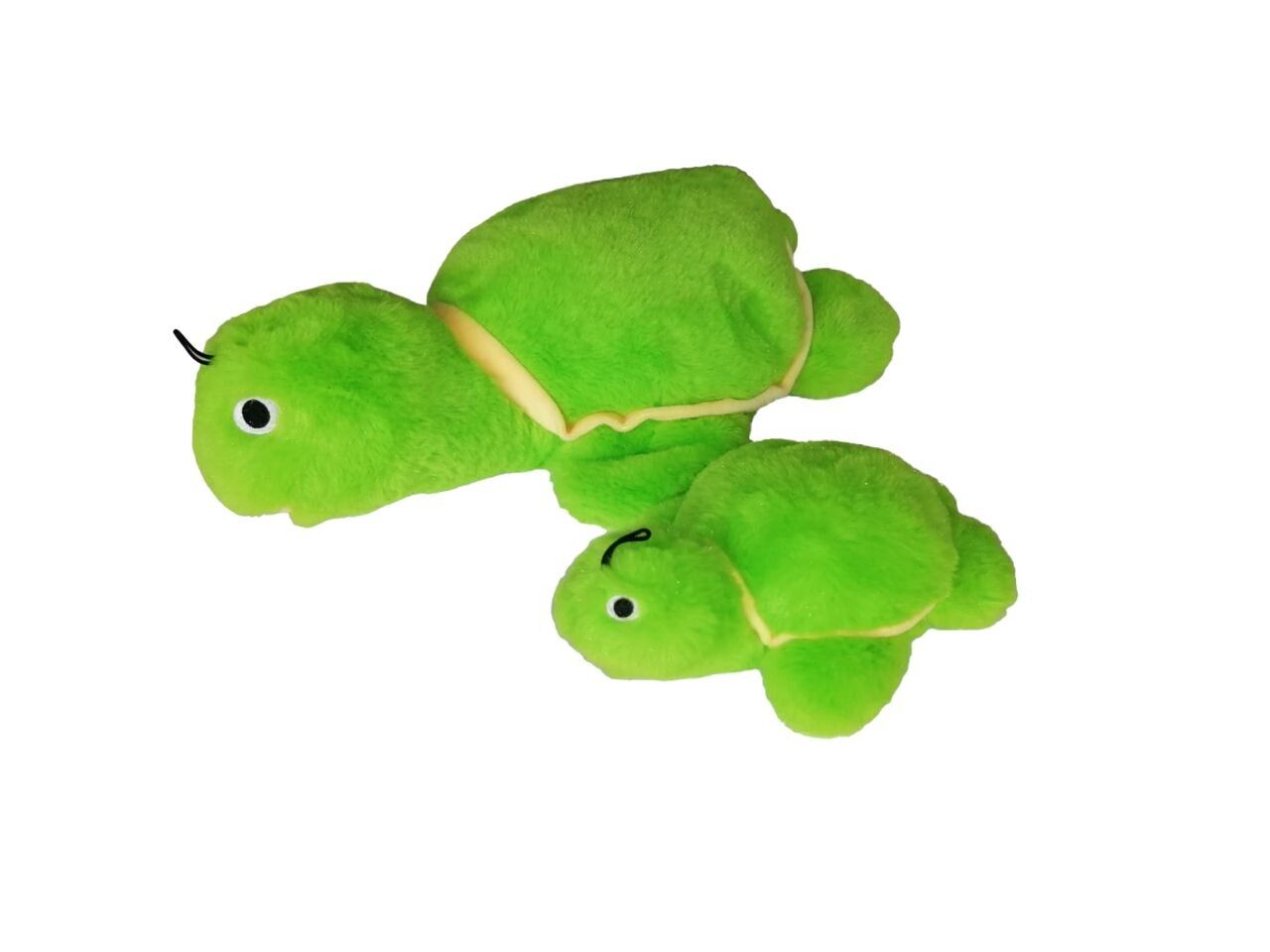 Gor umarmt Schildkröte