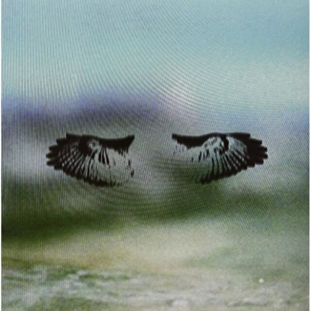 Shoes And Socks Off LP - Miles Of Mad Water