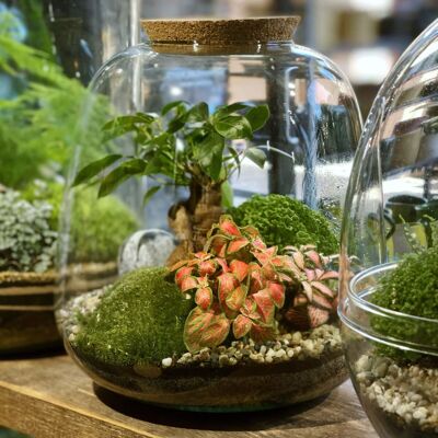 Masterclass Upgrade - Bell Jar