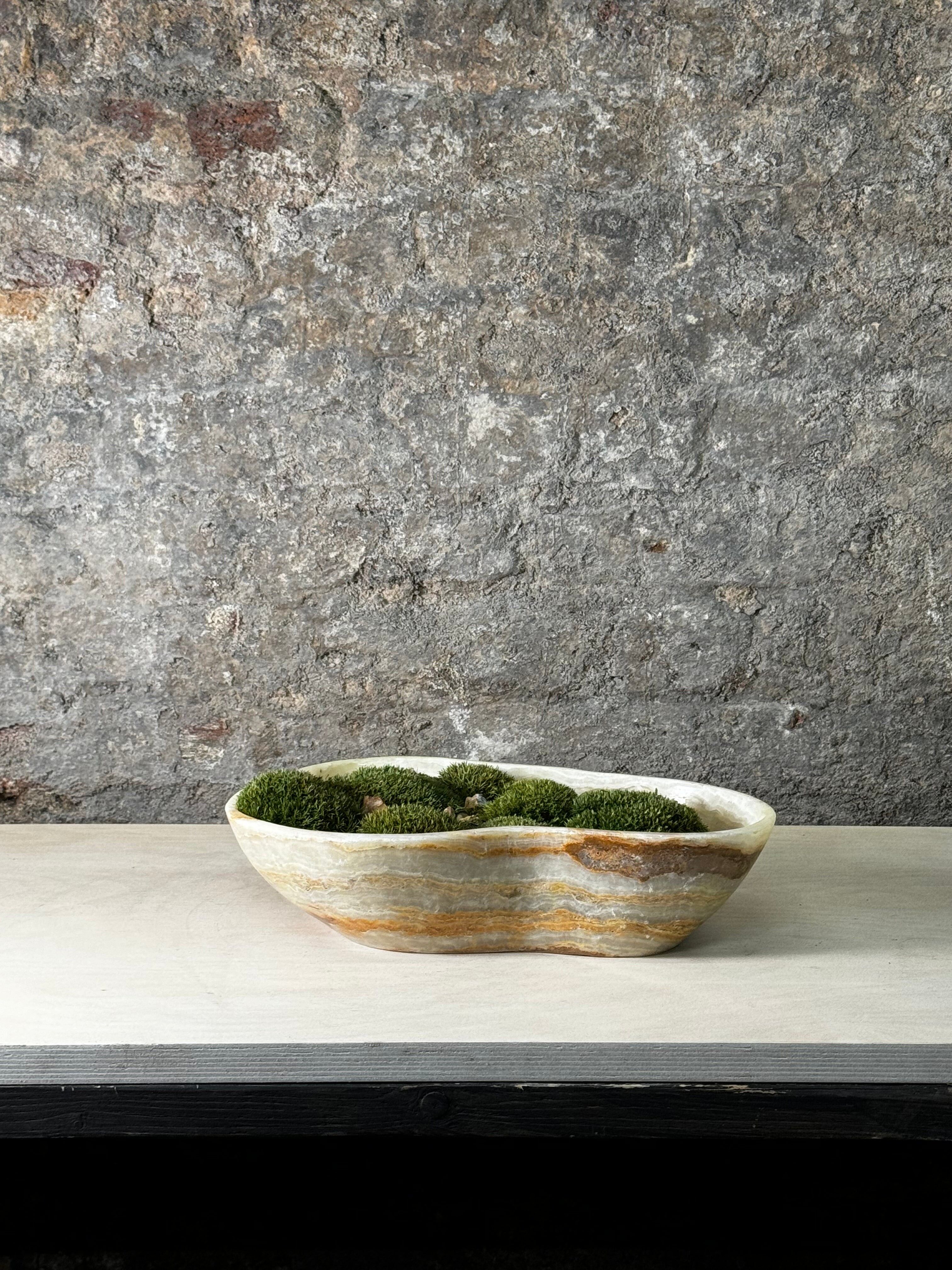 Bol en onyx de qualité supérieure avec mousse préservée FR16