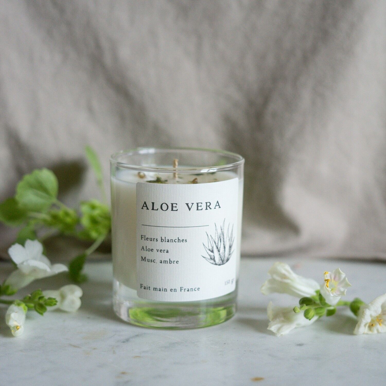 Collezione essenziale di candele profumate all'aloe vera