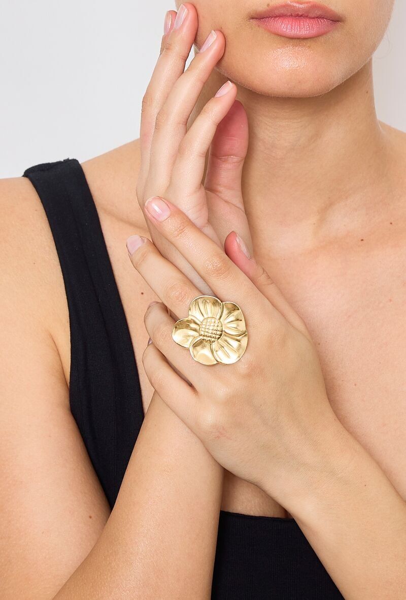 Anello in acciaio inossidabile 424YC16