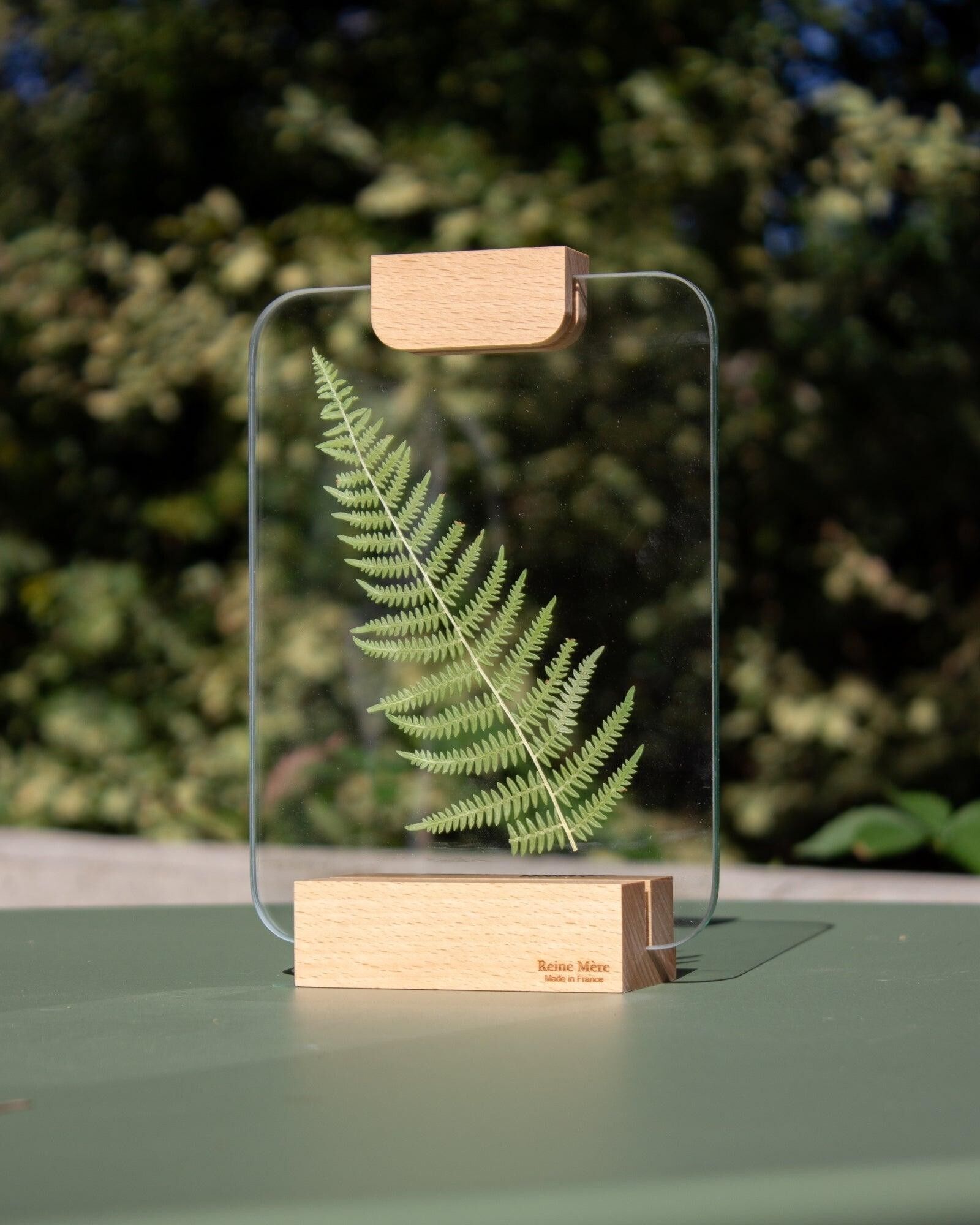Wooden glass roof (made in France)