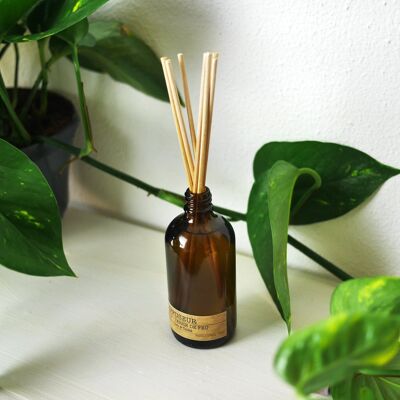 Diffusore n. 3 FICO ETERNO - Fico + Stella alpina - 100ml