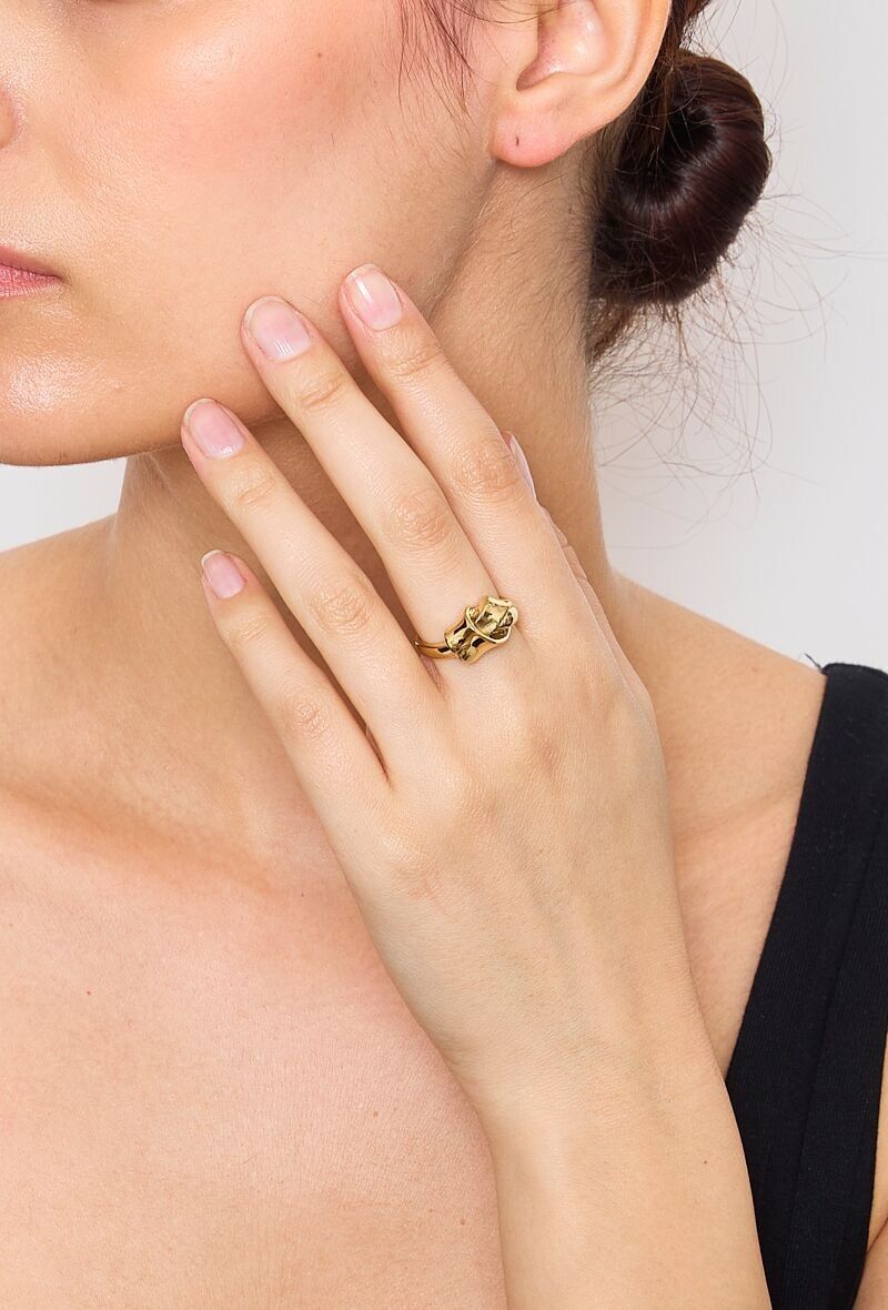 Anello in acciaio inossidabile 424YC23