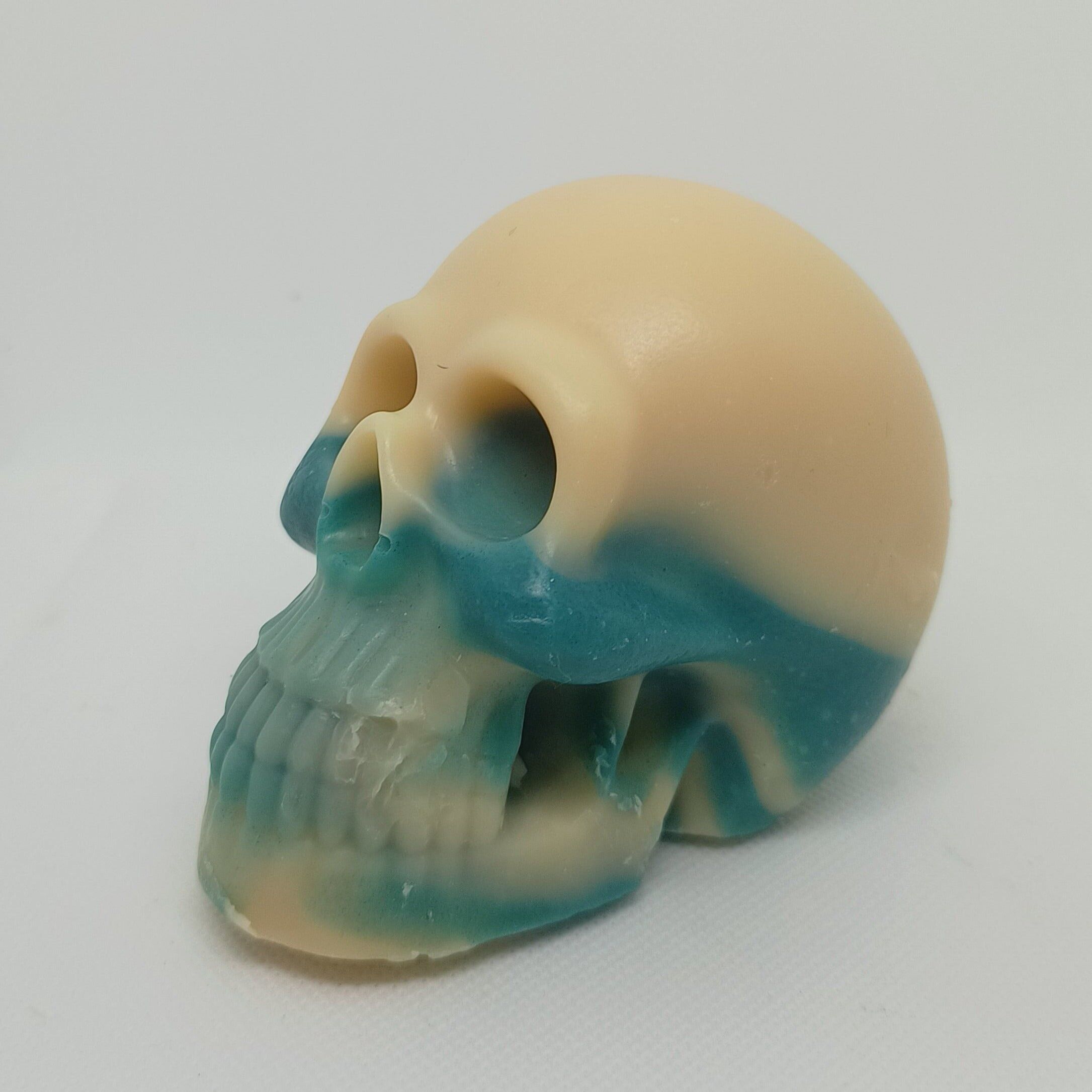 La verbena esotica del grande teschio