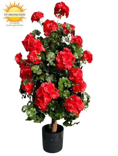 Geranium pyramid UV red 110cm