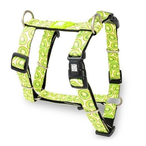 Max&Molly H-Geschirr – Kiwi