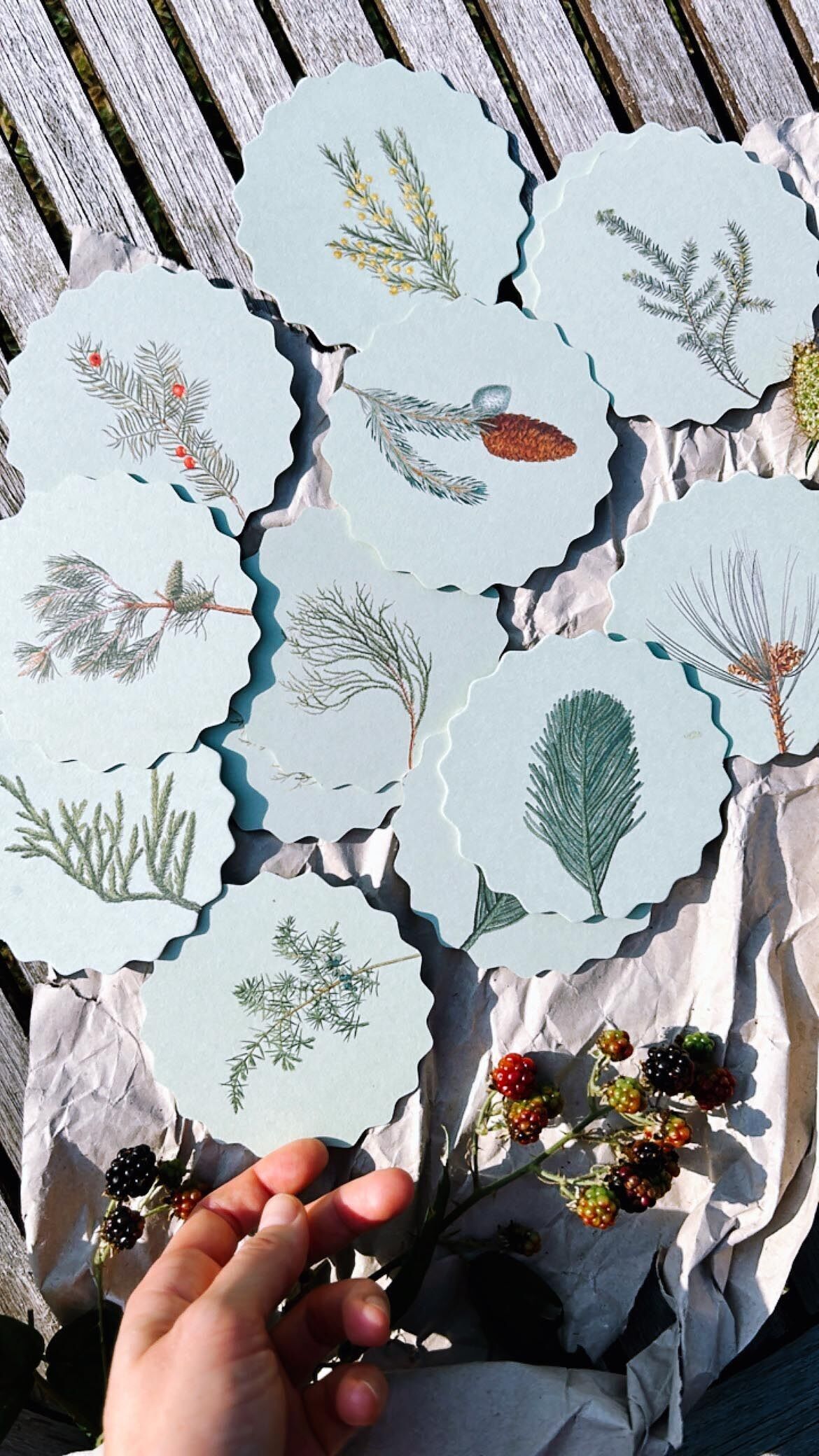 Sottobicchiere/Sottobicchiere invernale