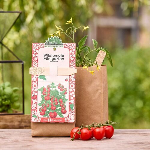 Minigarten - Wildtomate - BIO